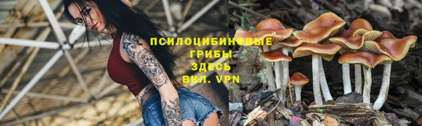 соль курить ск Заволжье