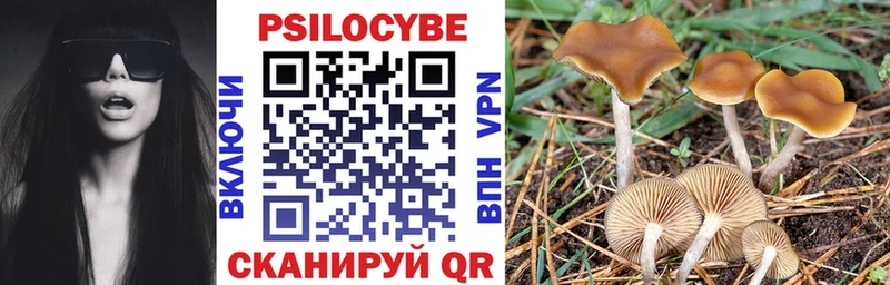 Купить где  Спасск-Рязанский  Галлюциногенные грибы Psilocybe 